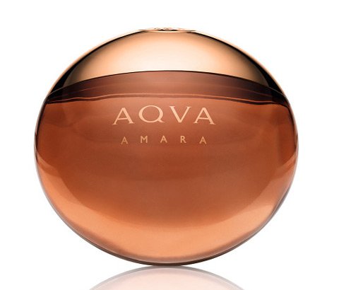 Bvlgari Aqva Amara EDT 100ml